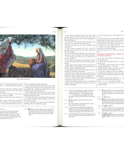 The New Testament for Latter-day Saint Families