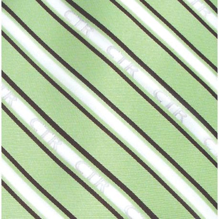 Boys' CTR Green and Brown Stripe Microfiber Necktie