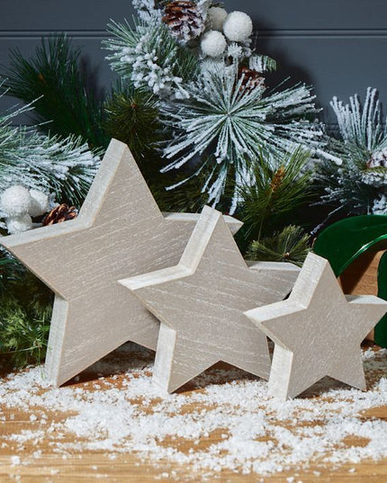Standing Star Block - Grey (3)