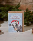 MOOEY CHRISTMAS
