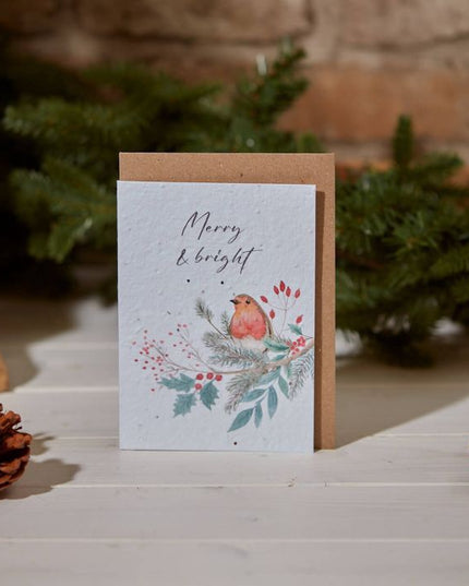 Seed Card - Christmas