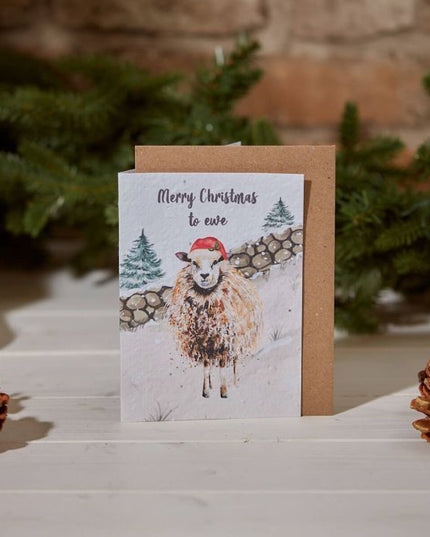 Seed Card - Christmas