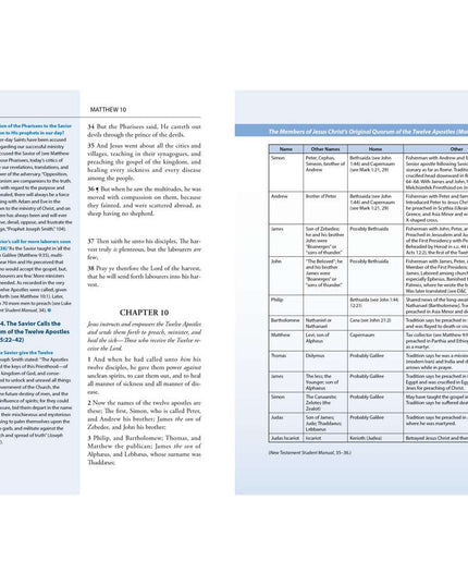 The New Testament Study Guide: Start to Finish