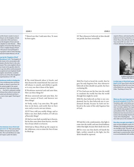 The New Testament Study Guide: Start to Finish