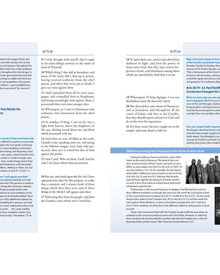 The New Testament Study Guide: Start to Finish