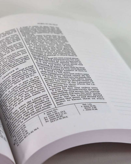 The Book of Mormon, Journal Edition. Pink Floral (No Index) Hardcover
