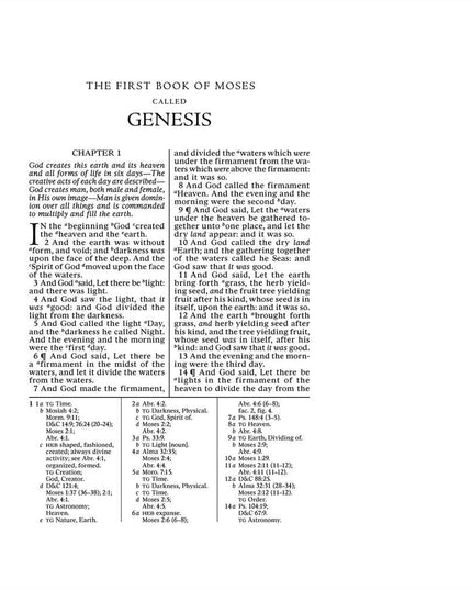 The Old Testament, Journal Edition, Patterned Unlined (No Index)