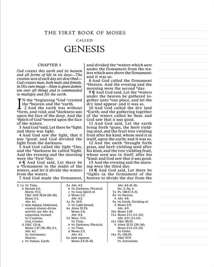 The Old Testament, Journal Edition, Large Print Faux Leather Unlined (No Index)