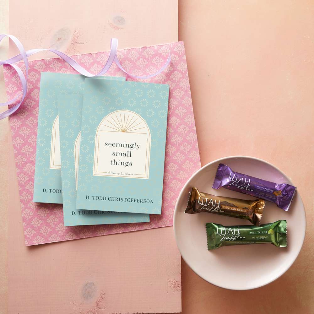 Seemingly Small Things Booklet