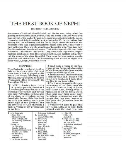 The Book of Mormon, Journal Edition, Aqua Floral (No Index)