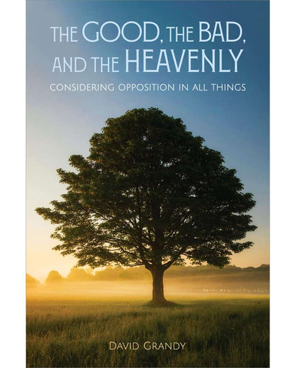 The Good, the Bad, and the Heavenly