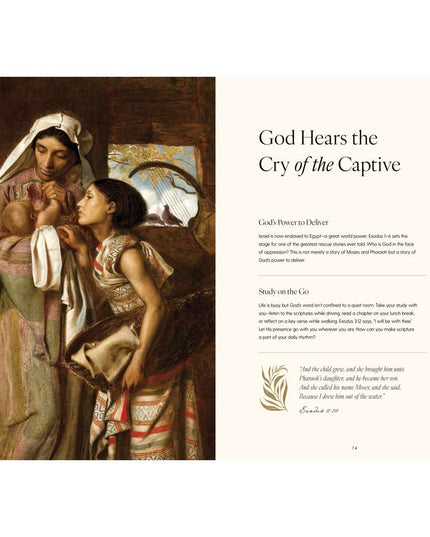 Seek: A Guided Journey Through The Old Testament