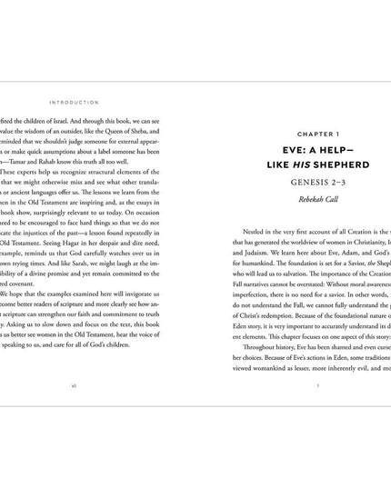 Seeing Women in the Old Testament