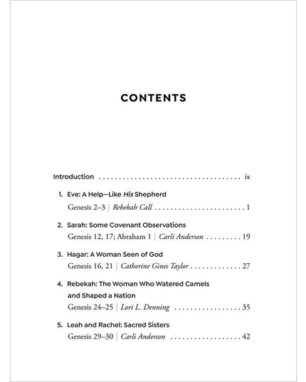 Seeing Women in the Old Testament