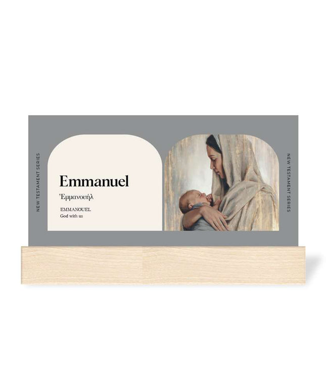 ***PREORDER*** Don't Miss This 2027 New Testament Poster Set with Stand
