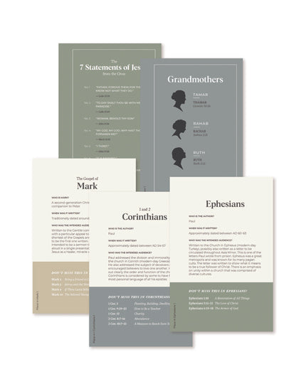 ***PREORDER*** Don't Miss This 2027 New Testament Tip-In Set