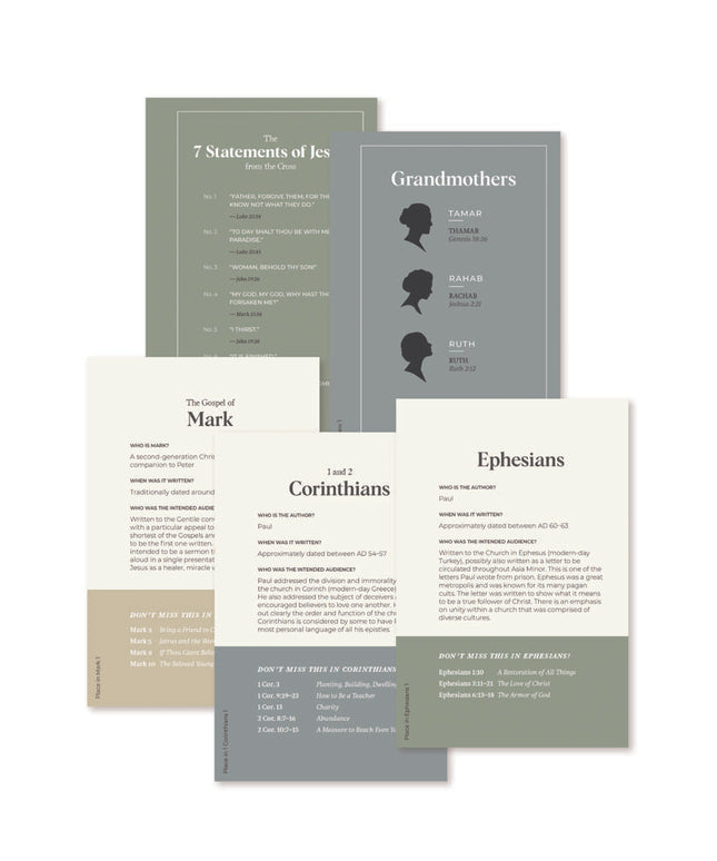 ***PREORDER*** Don't Miss This 2027 New Testament Tip-In Set