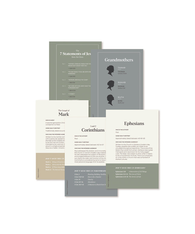 ***PREORDER*** Don't Miss This 2027 New Testament Tip-In Set