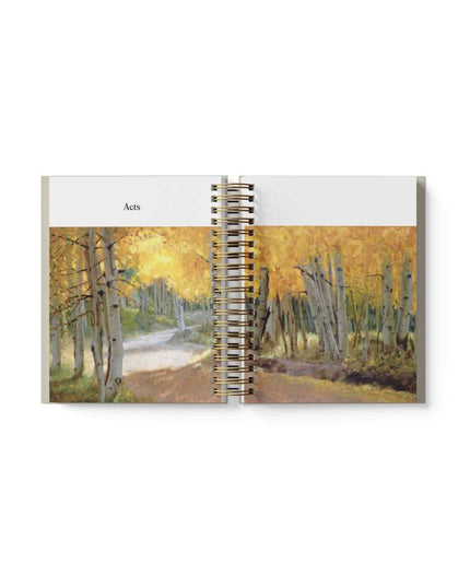***PREORDER*** Don't Miss This 2027 New Testament Devotional Journal