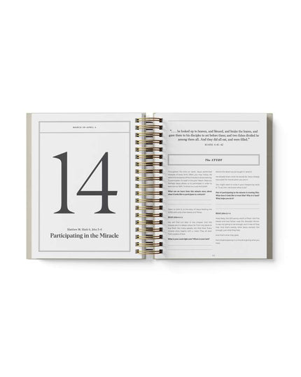 ***PREORDER*** Don't Miss This 2027 New Testament Devotional Journal