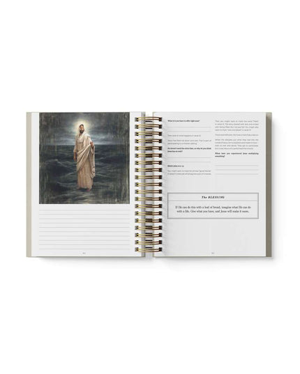 ***PREORDER*** Don't Miss This 2027 New Testament Devotional Journal