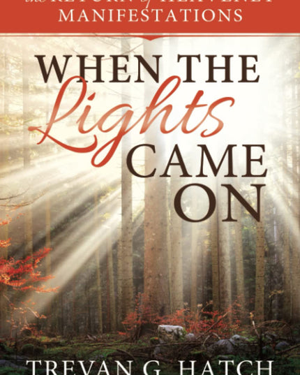 When The Lights Came On by Trevan G. Hatch