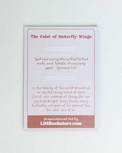 The Colour of Butterfly Wings 5x7 Print