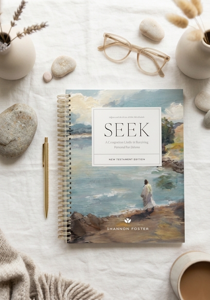 ***PREORDER*** Seek - New Testament