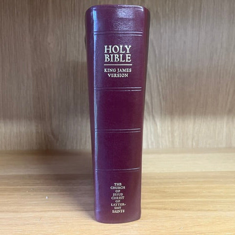 ***PRELOVED/SECOND HAND*** The Holy Bible