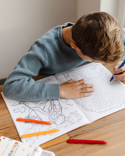 Book of Mormon Colouring & Activity Book
