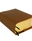 Brown / Slip Cover