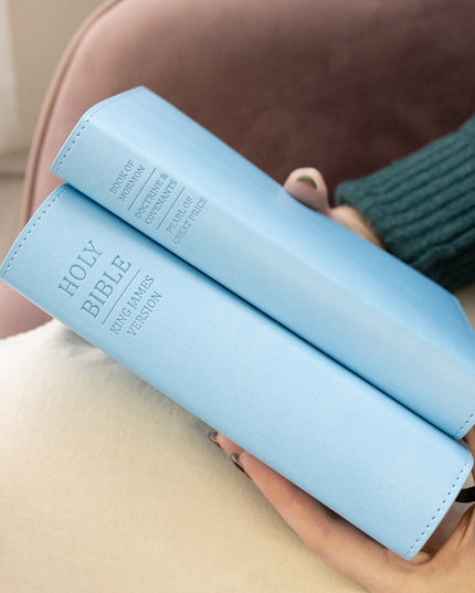 Triple Slip Cover