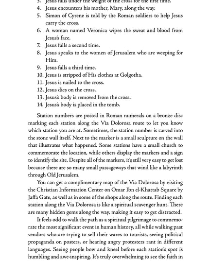 Via Dolorosa: Christ's Path to the Cross