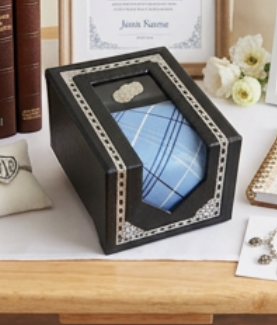 Tie and Tie Tack - Gift  Set