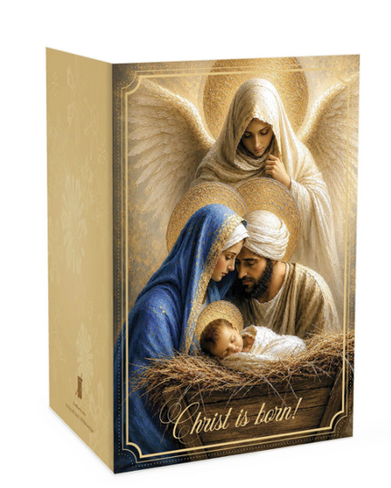 *** PREORDER*** Barbara Alger Assorted Christmas Card Set