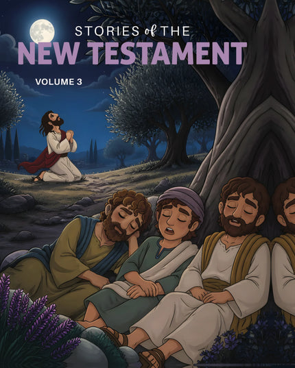 ***PRE-ORDER*** Stories of the New Testament - For Kids (Box Set)